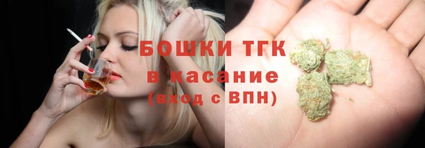 сатива Армянск