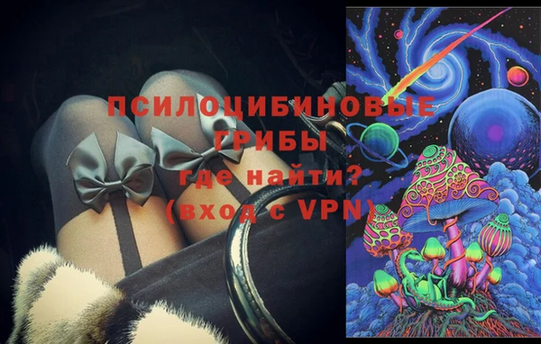 соль ск Арсеньев