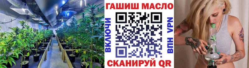 blacksprut вход  Краснослободск  ТГК THC oil 