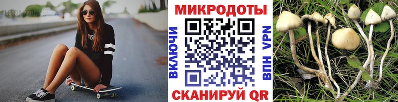 Псилоцибиновые грибы мицелий  закладки  Краснослободск 